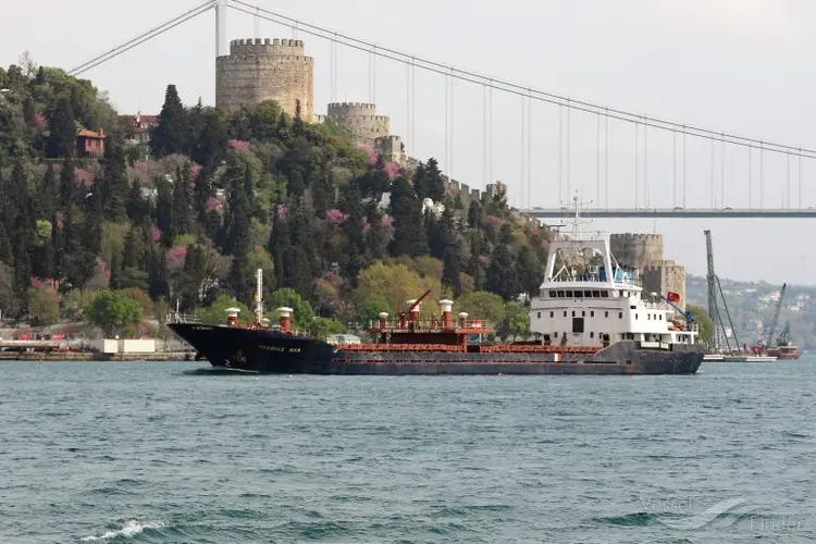 Odessa yaxınlığında dron hücumunda həlak olan azərbaycanlı kapitanın nəşi tapılıb